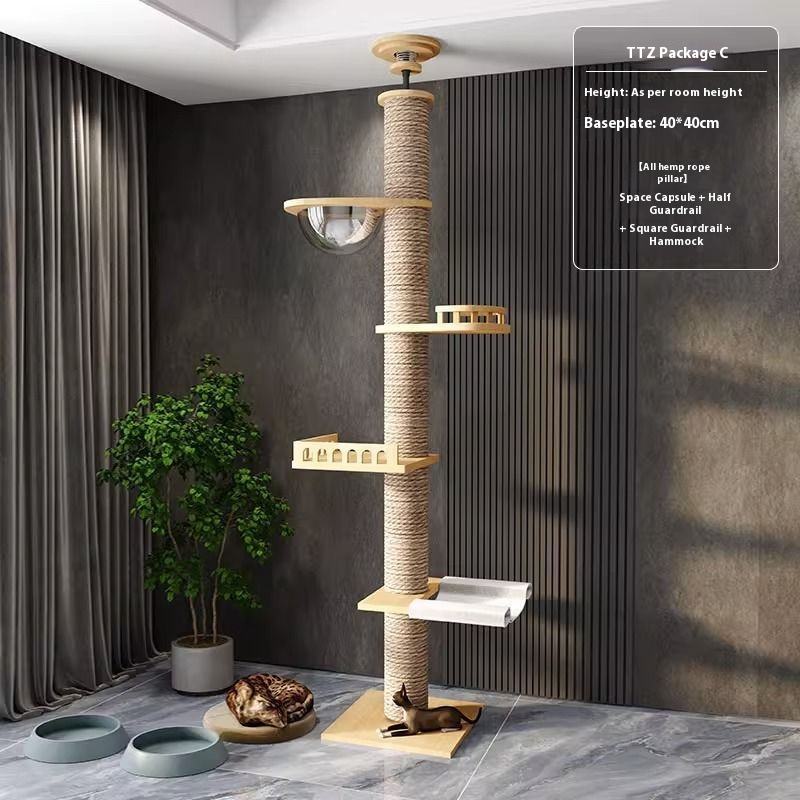 6 .ttz รุ่น C