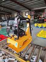 Vente directe d'usine de la plaque vibrante duplex modèle 250