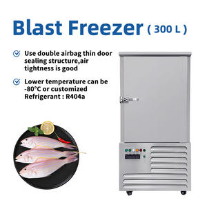Machine de congélation rapide commerciale 300L 10 palettes -80°C ° Armoire de congélation rapide C pour viande et fruits de mer - Product Image 1