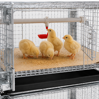 Cage à poulettes galvanisée à prix d'usine HK pour l'élevage et la croissance des poussins, structure de cage en maille pour volailles
