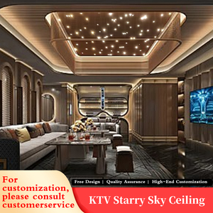 Bầu trời đầy sao sợi quang ánh sáng Trần cho nhà phòng khách phòng ngủ rạp hát tại nhà Izakaya nhà hàng trang trí nội thất dẫn nguồn nhựa cơ thể - Product Image 5