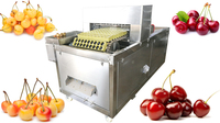 Grote Capaciteit Dadels Zaden Verwijderen Machine Olijf Date Cherry Core Remover Automatische Kersenbak Verwijderaar Machine