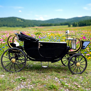 Chariot de tourisme électrique sans chevaux noir en promotion – Carrosse royal de tourisme de haute qualité - Product Image 2