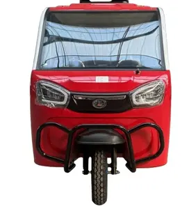 3 Wheel 2 Passengers Rental Use Velo Taxi Style Cargo Tricycle Electric Taxi Bike Distribution