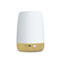 Lampe de chevet tactile pour enfants, rechargeable par USB de type C, à intensité variable, pour l'allaitement, lampe tactile à main, lumière blanche chaude