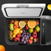 Kulkas Mobil Portabel Plastik 12L Kompresor DC Freezer -18 Pendinginan Mendalam Kontrol Suhu Cerdas 28-Tingkat Layar LED Truk