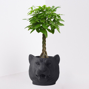<span class=keywords><strong>Macetas</strong></span> y <span class=keywords><strong>macetas</strong></span> de animales con estilo único, cabeza de tigre de arcilla de fibra, maceta de planta negra dorada y bronce - Product Image 2