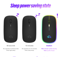 Accessoires informatiques Ordinateur portable de bureau chargeant la souris de jeu lumineuse Free Wolf X15 Mute Wireless Mouse