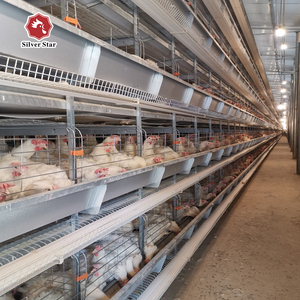Diseño de Jaulas Automáticas para Gallinas Ponedoras de Codorniz - Product Image 4