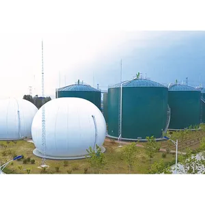 China Family Size Biogas Desulfurizer Filter Stabilize Membrane Separation Methane Carbon And Hydro Sulphate Purifier