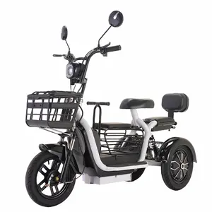 2024 desain baru Citycoco 600W baja tiga roda dan besi sepeda roda tiga listrik 48V dengan rem Drum untuk penumpang baterai yang dapat dilepas