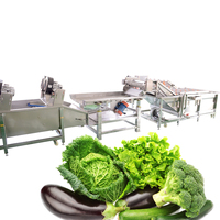 Automatische Bubbel Reiniger Wasmachine Grote Groente Wasmachine Fruit & Groente Wasapparatuur