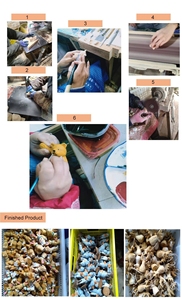 Set di 8 Pezzi di Statuine del Presepe Natalizio in Legno Intagliato Personalizzato, Dipinte a Mano, Artigianato Decorativo Made in China, Campione Disponibile - Product Image 6