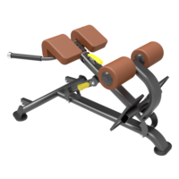 Chaise romaine KJ-1258 D multi hyper extension 45 degrés banc abdominal pour salle de gym à domicile