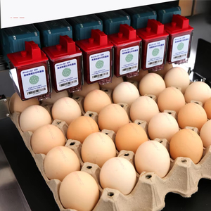 Printer telur Batch otomatis penuh cerdas, enkoder telur Desktop kartrid tinta multiwarna - Product Image 1