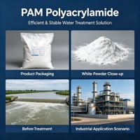 Polyacrylamide Anionique de Qualité Industrielle pour l'Élimination des Solides en Suspension dans la Découpe du Granit