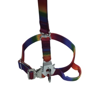 Collier pour chien Ombre coloré de luxe avec accessoires métalliques premium et poignées – Ensemble de colliers pour animaux de compagnie – Fournitures pour animaux - Product Image 6