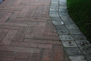 ALGACID Nettoyant rapide pour les algues et les moisissures, désinfectant pour surfaces extérieures, nettoyant pour patio, spray pour pierre, béton, terre cuite, action rapide - Product Image 6