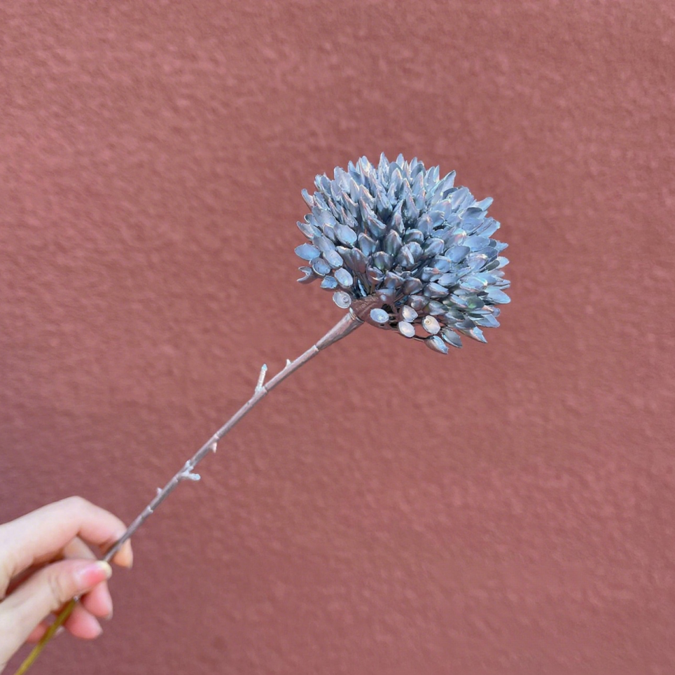 รังผึ้งเดี่ยว