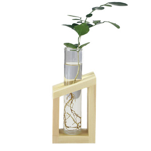 Wholesale Glass Propagation Test Tube Plant Terrarium for Hydroponic Plants Home Garden <b>Decoration</b> - Product Image 1