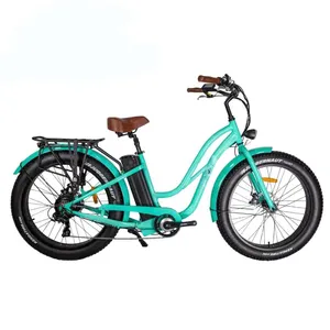 48V 500w 1000w moyeu arrière moteur vélo électrique gros pneu cycle de charge cycle batteries pour vélo électrique