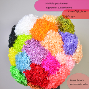 Vente directe d'usine, hortensias conservés avec branches, <span class=keywords><strong>fleurs</strong></span> décoratives pour la Saint-Valentin, la <span class=keywords><strong>fête</strong></span> <span class=keywords><strong>des</strong></span> <span class=keywords><strong>mères</strong></span>, la remise <span class=keywords><strong>des</strong></span> diplômes, 40 couleurs - Product Image 2