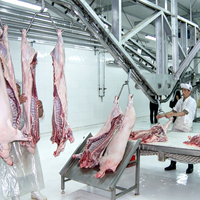 Équipement d'abattage automatique de porcs, projet clé en main, 100-300 porcs par jour, équipement d'abattoir de porcs