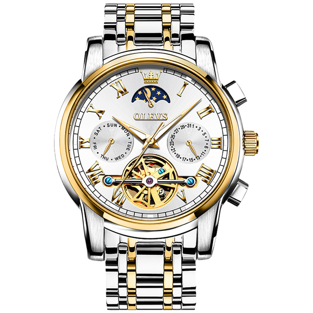 Men's Waterproof Automatic Skeleton Mechanical Dive Watch with Stainless Steel Band Analog Display Hollow out Chronograph