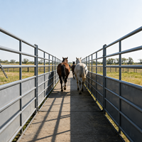 Panneau de clôture agricole en acier galvanisé, écologique et amovible, pour bétail, chevaux et habitations