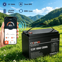 Baterai LiFePO4 12V 100Ah dengan Bluetooth BMS CAN RS485 Baterai Lithium Pintar untuk Pemantauan Aplikasi Seluler Solar RV UPS.