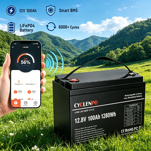 12V 100Ah LiFePO4 배터리(블루투스 BMS CAN RS485 포함) 태양광 RV UPS 모바일 앱 모니터링용 스마트 리튬 배터리 - Product Image 1