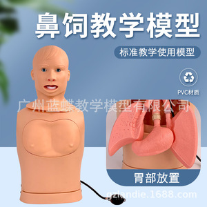 Modèle de soins pour sonde nasogastrique et trachéale ; modèle de sonde nasogastrique ; formation en incision et aspiration ; intubation trachéale ; gastrique - Product Image 5