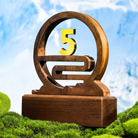 Trophée en bois personnalisé, récompense sportive, certificat d'entreprise, certificat doré, certificat avec logo gravé au laser, souvenir d'anniversaire, cadeau