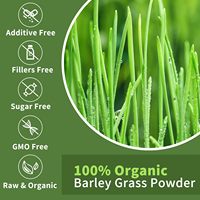 Poudre d'herbe d'orge 100% pure et naturelle, superaliment vert, complément alimentaire à base de plantes