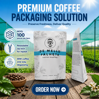 Sachet Doypack Personnalisé Imprimé 250g 500g 1kg avec Valve, Anti-humidité, Réutilisable, Fermeture Zippée, en Aluminium BTP pour Emballage Café et Thé