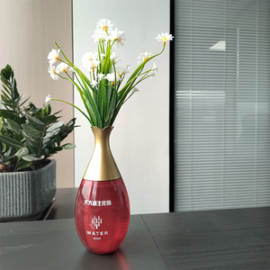 <span class=keywords><strong>Extincteur</strong></span> de vase jetable de haute qualité à bas prix - Product Image 3