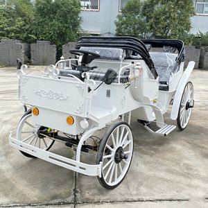 รถบักกี้ไฟฟ้าสไตล์ยุโรปตกแต่งสีทองสำหรับสวนสนุก งานแสดงสุดโรแมนติก - Product Image 5