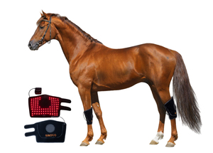 Dernière conception d'équipement vétérinaire Ceinture de récupération de thérapie équine à lumière infrarouge <span class=keywords><strong>pour</strong></span> cheval anti-douleur - Product Image 5