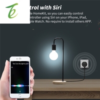 Akıllı avrupa standart soket Homekit ölçüm soketi geri sayım sayacı mobil uygulama uzaktan ses kontrolü