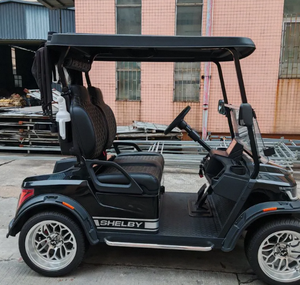 Voiture de golf électrique tout-terrain 2 places avec 4 roues, batterie au lithium, vitesse de 24 km/h, capacité de charge de 300 kg, télécommande - Product Image 4