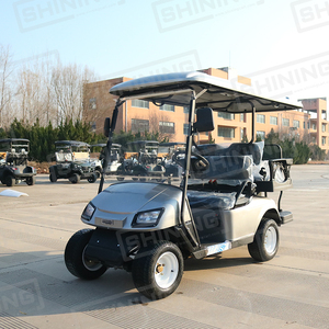 Shininglsv इलेक्ट्रिक 4 सीट मिनी मैक्स 300 प्यारी गोल्फ कार्ट लीड एसिड बैटरी 5kw एसी मोटर कर्टिस नियंत्रक 50-70 किमी/घंटा - Product Image 3