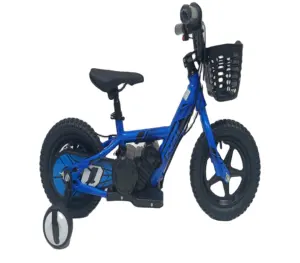 Hete Verkoop Baby Kind Mini Push Fiets Peuter 100W 24V,2.6/5.2ah 12/16 Inch Wiel Racecyclus Elektrische Balans Fiets