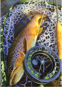 WindCutter InTouch Línea de Pesca Spey de Una Mano, Flotante, Ultra Baja Elasticidad, Carga Zoom, Lazos Soldados, ID 90-100ft, Tres Colores (B10) - Product Image 3