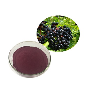 Extrait de fruit séché de sureau sauvage (<span class=keywords><strong>Aronia</strong></span>) en poudre, testé UV, emballé sous vide en fût, complément alimentaire de sureau <span class=keywords><strong>noir</strong></span> extraits - Product Image 6