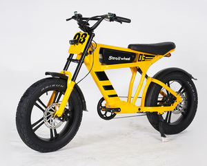 Duitsland Magazijn Voorraad Gratis Verzending 750W 48V Elektrische Fiets Elektrische Fietsen voor Volwassenen 2-Wiel Elektrische Fiets - Product Image 6