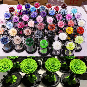 Bunga pengawet roas abadi merah muda selamanya 12*20cm bunga yang diawetkan tak terbatas dalam kubah kaca untuk hadiah Hari Valentine - Product Image 6