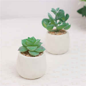 Juego de 4 Plantas Suculentas Artificiales Duraderas en Maceta de Cerámica Blanca para Decoración de Escritorio, Uso Interior/Exterior, Greatflower, MOQ Bajo - Product Image 5