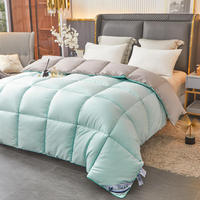 Ensemble de literie de luxe pour hôtel, personnalisé, en coton, taille Queen et King, pour mariage, avec insert de couette matelassé pour l'hiver