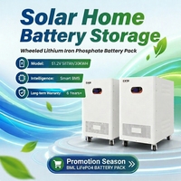 EU 인증 하이브리드 그리드 태양광 배터리 51.2V 578AH 리튬인산철(LiFePO4) 16kWh 리튬 이온 배터리 딥 사이클 에너지 저장 시스템