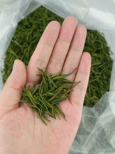 オーガニックエンシ厳選ユールグリーンティー - Product Image 6